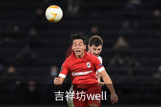 吉祥坊well公司介绍
